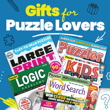 Top puzzle gifts